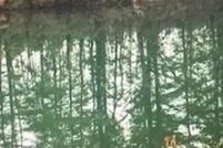 Undeveloped Land for sale in Burlington County, New Jersey