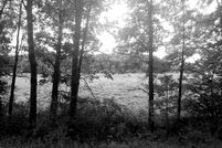 Property for sale in Allegany County, Maryland