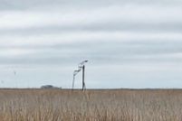 Property for sale in Dorchester County, Maryland