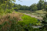 Undeveloped Land for sale in Calvert County, Maryland