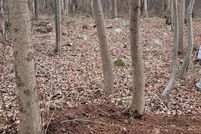 Undeveloped Land for sale in Carbon County, Pennsylvania