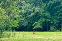 Property for sale in Cumberland County, New Jersey