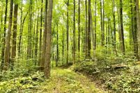 Property for sale in Albemarle County, Virginia