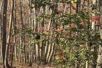 Undeveloped Land for sale in Fauquier County, Virginia