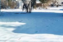 Undeveloped Land for sale in Winchester City County, Virginia