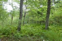 Property for sale in Hardy County, West Virginia