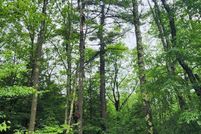 Lakefront Property for sale in Garrett County, Maryland