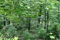 Undeveloped Land for sale in Page County, Virginia