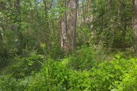 Property for sale in Kent County, Maryland