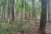 Undeveloped Land for sale in Rappahannock County, Virginia