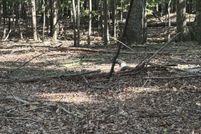 Property for sale in Berkeley County, West Virginia