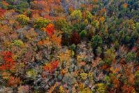 Property for sale in Prince Georges County, Maryland