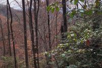 Undeveloped Land for sale in Swain County, North Carolina