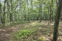 Property for sale in Hardy County, West Virginia