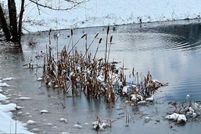 Property for sale in Hampshire County, West Virginia