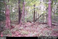 Property for sale in Jefferson County, West Virginia