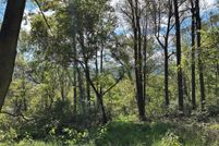 Undeveloped Land for sale in Rappahannock County, Virginia