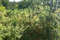 Property for sale in Gloucester County, New Jersey