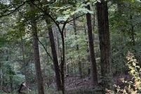 Property for sale in Morgan County, West Virginia