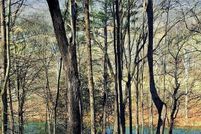 Undeveloped Land for sale in Page County, Virginia