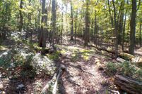 Property for sale in Hampshire County, West Virginia