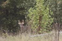 Property for sale in Dallas County, Missouri