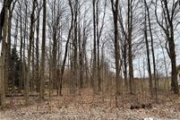 Undeveloped Land for sale in Chautauqua County, New York