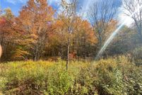 Undeveloped Land for sale in Delaware County, New York