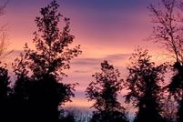 Property for sale in Monroe County, New York