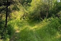 Undeveloped Land for sale in Schuyler County, New York