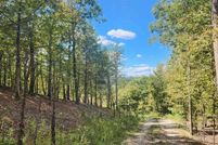 Undeveloped Land for sale in Montgomery County, Arkansas