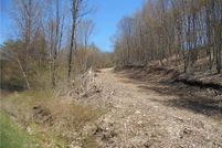 Undeveloped Land for sale in Delaware County, New York