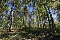 Property for sale in Antrim County, Michigan