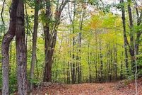 Property for sale in Delaware County, New York