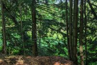 Property for sale in Jefferson County, New York