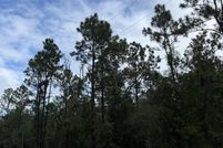 Undeveloped Land for sale in Clay County, Florida