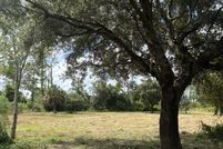Property for sale in Okeechobee County, Florida