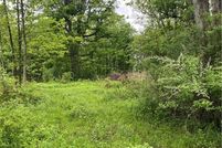 Undeveloped Land for sale in Oneida County, New York