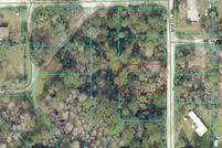 Undeveloped Land for sale in Marion County, Florida