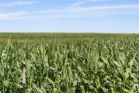 Property for sale in Bell County, Texas