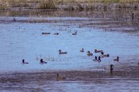 Property for sale in Columbia County, Oregon