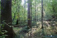 Undeveloped Land for sale in Mecklenburg County, Virginia