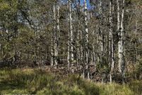 Undeveloped Land for sale in Monroe County, Pennsylvania