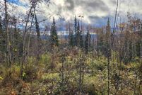 Undeveloped Land for sale in Fairbanks North Star Borough, Alaska