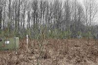 Property for sale in Wexford County, Michigan