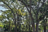 Undeveloped Land for sale in Marion County, Florida