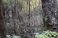 Property for sale in Rabun County, Georgia
