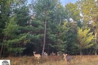 Lakefront Property for sale in Arenac County, Michigan