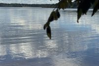 Property for sale in Person County, North Carolina