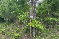 Property for sale in Ashley County, Arkansas